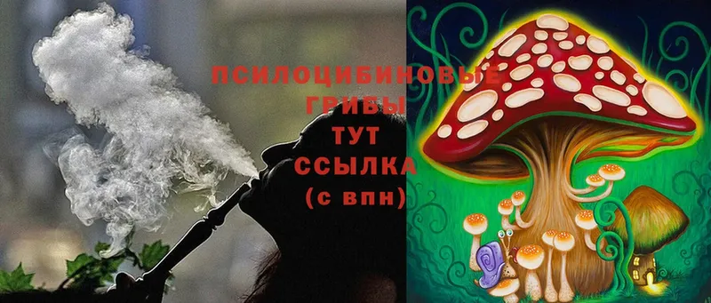 Галлюциногенные грибы Psilocybine cubensis Кремёнки